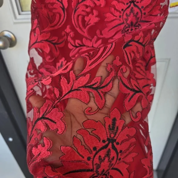 139 Siena V-Neck Dress Sz 10 Women Embroidered-Mesh Sleeveless New Holiday - Picture 13 of 14